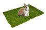 Imagem de Tapetes sanitario cães gatos coelhos grama sintetica lavavel