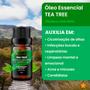 Imagem de Tea Tree Orgânico 10ml (Melaleuca alternifolia)