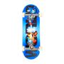 Imagem de Tech Deck Fingerboard Profissional Skate De Dedo 2890 - Sunny