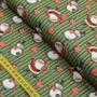 Imagem de Tecido Estampado Para Patchwork - Natal : Noel e Snow Fundo Verde (0,50x1,40)