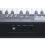 Imagem de Teclado Arranjador 61 teclas Revas by Roland KB-330