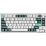 Imagem de Teclado Gamer Mecanico Keychron Q1 He RGB Switch Magnetic
