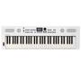 Imagem de Teclado Musical GO: KEYS 5 WH - Roland
