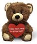 Imagem de Teddy Bear Witty Bears I Miss Your Face 10 com sacola de presente