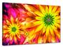 Imagem de Tela Canvas Floral Flores Abstratas 120x80 Horizontal 1