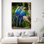 Imagem de Tela Quadro Decorativo Bege com moldura Arara Azul Passaro