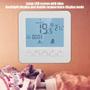 Imagem de Termostato Programável BHDD com Display LCD