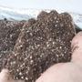 Imagem de Terra para Suculentas e Cactos 1kg Humus/Perlita/Silica