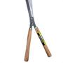 Imagem de Tesoura Grama Thompson 12''