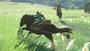 Imagem de The Legend Of Zelda: Breath Of The Wild - Switch