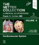 Imagem de The netter collection of medical illustrations cardiovascular system vol 8 - Elsevier (import) 2024