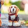 Imagem de The Queen's Treasures 18 Inch Doll Pets, Beagle Puppy Dog Pet Friend with Leash and Collar, Compatible for Use with American Girl Dolls