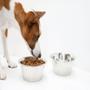 Imagem de Tigela Prato Para Cachorros e Gatos Pet Comedouro Inox - Chalesco