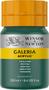 Imagem de Tinta Acrílica Galeria Winsor & Newton 250ml Phthalo Green