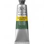 Imagem de Tinta Acrílica Winsor & Newton Galeria 60ml Hookers Green