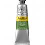 Imagem de Tinta Acrílica Winsor & Newton Galeria 60ml Sap Green