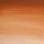 Imagem de Tinta Aquarela Winsor & Newton Profissional Pastilha S1 381 Magnes Brown