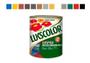 Imagem de Tinta Piso Lukspiso 900ml 1/4 Diversas Cores