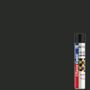 Imagem de Tinta Spray 250ml Premium Edition para Uso Geral Preto Brilhante - 680521 - CHEMICOLOR