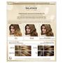 Imagem de Tintura de cabelo Clairol Nice'n Easy Balayage Permanent Brunettes