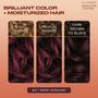 Imagem de Tintura de cabelo Clairol Textures & Tones 4RV Berry Burgundy Pack 1