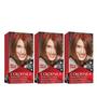 Imagem de Tintura de Cabelo Revlon Colorsilk Beautiful Color 51 Castanho Claro - Kit com 3 Unidades