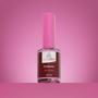 Imagem de Tip Blender Ação Niveladora 10ml  - Any Lovy
