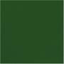 Imagem de TNT 1,40M 40G Verde Escuro  Rolo com 50 Metros