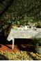 Imagem de Toalha de Mesa 6 Lugares POP Retangular Estampada Sálvia 1,40m x 2,10m