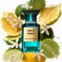 Imagem de Tom ford neroli portofino eau de parfum 100ml