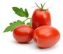 Imagem de Tomate Hibrido Romeu / Produto Original 2.000 Sementes