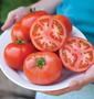 Imagem de Tomate vermelho híbrido Seed Burpee 'Early Pick VF' para bife