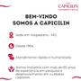 Imagem de Tônico Cresce Forte 20ml Capicilin