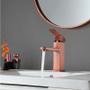 Imagem de Torneira Banheiro Rose Luxo Monocomando Inox 304 Escovado