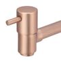 Imagem de Torneira Link Longa Cozinha/Tanque/Jardim Rose Gold Parede