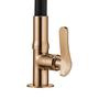 Imagem de Torneira Lorenzetti Lorenflex 1177 RG27 com Bica Flexível de Bancada Rose Gold 