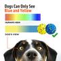 Imagem de Toy Dog Chew Toy Kimee Atom Teething Tennis Ball 3,9", pacote com 3