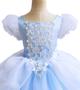 Imagem de Traje TYHTYM Cinderella Princess Dress Up Girl 2-11 anos