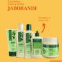 Imagem de Tratamento Completo Kit Bio Extratus Antiqueda Jaborandi SH/BC/CD 250ml EXT. 100ML/ FIN. 150G)