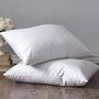 Imagem de Travesseiro 200 Fios Percal Fibra Siliconada Casen Pillow