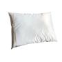 Imagem de Travesseiro Com Capa Antiácaro Alergo Easy 30X40 - Infantil