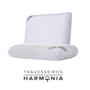 Imagem de Travesseiro Dubai Memory Foam D40 14cm Ninare Colchões