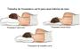 Imagem de Travesseiro Sono Conforto Terapêutico Magnético com Infravermelho Longo Dor Cervical-Shalom Life