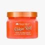 Imagem de Tree Hut Esfoliante Corporal Bikini Reef 510g, Fragrância Frutada.