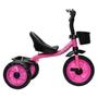 Imagem de Triciclo 3 Rodas Infantil Bicicleta Rosa Motoca Com Buzina - Zippy Toys