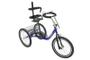 Imagem de Triciclo adaptado aro 20 - azul