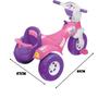 Imagem de Triciclo Bebê multifuncional Magic Toys Tico-Tico Baby Rosa.