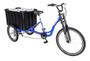 Imagem de Triciclo Carga Multiuso 150kg Marchas Caixa Fechada Azul