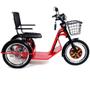 Imagem de Triciclo Elétrico 800W Com Cadeira Giratória Alarme Farol Ré FIT Vermelho - Midori Bike