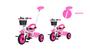Imagem de Triciclo Infantil com Empurrador e Pedal 3 Rodas Flex Rosa  - Baby Style